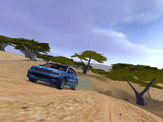 Euro Rally Champion