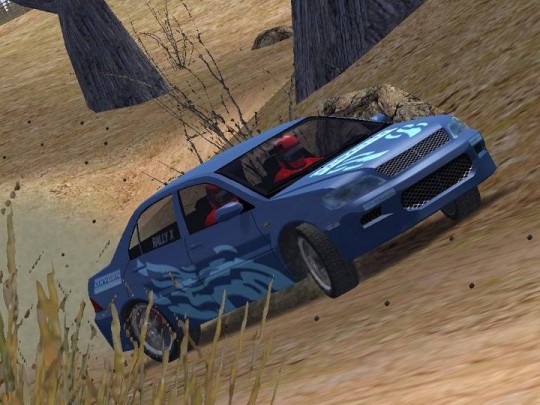 Euro Rally Champion