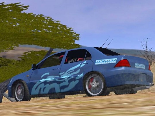 Euro Rally Champion