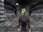 Asheron's Call 2: Legions