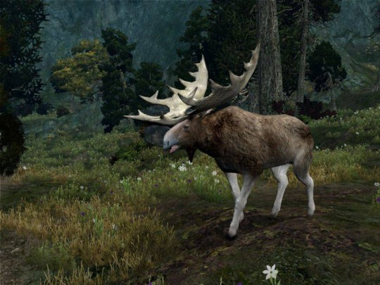 Age of Conan - Hyborian Adventures