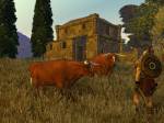Age of Conan - Hyborian Adventures
