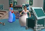 The Sims 2 Family Fun Stuff Pack