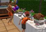 The Sims 2 Family Fun Stuff Pack