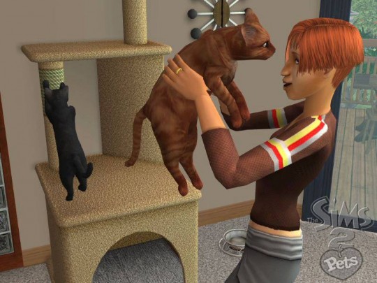 The Sims 2: Pets