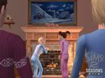 The Sims 2: Seasons