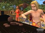 The Sims 2: Seasons
