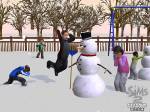 The Sims 2: Seasons