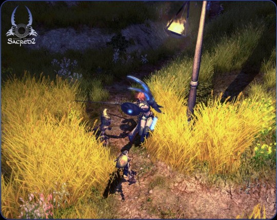 Sacred 2: Fallen Angel