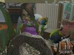 The Sims Life Stories