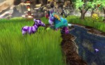 Viva Piñata