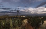 S.T.A.L.K.E.R.: Clear Sky