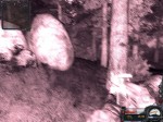 De furák errefelé a napszemüvegek... - S.T.A.L.K.E.R.: Clear Sky
