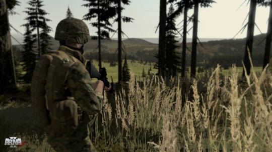 ArmA 2