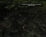 A fárasztó ugrálás után Lara kényelmesen megpihen a földön lévő víztócsában - Tomb Raider Underworld