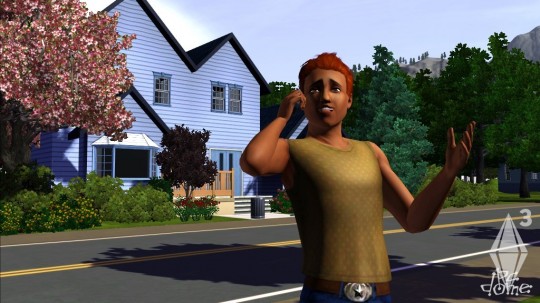 The Sims 3