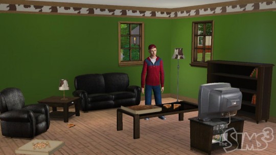 The Sims 3