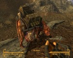 Fallout: New Vegas