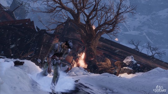 Uncharted 2: Among Thieves