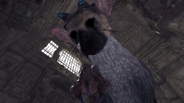 The Last Guardian