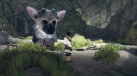 The Last Guardian