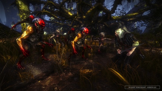 The Witcher 2: Assassins of Kings