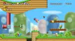 New Super Mario Bros. Wii.