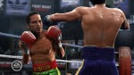 Fight Night Round 4 (X360)