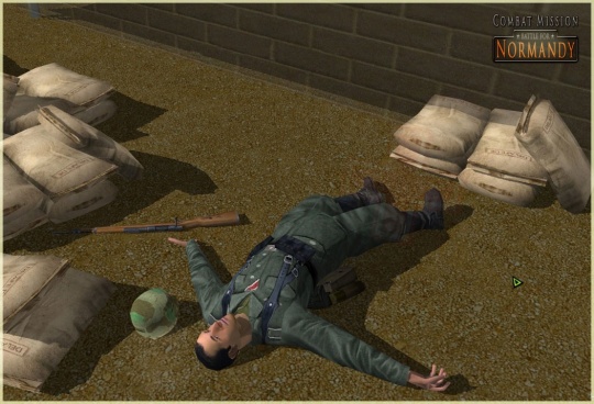 Combat Mission: Battle for Normandy