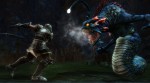 Kingdoms of Amalur: Reckoning