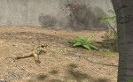Jagged Alliance: Back in Action