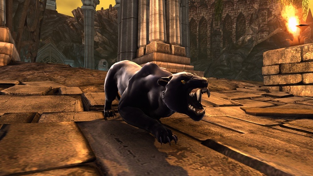 Neverwinter