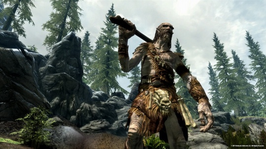 The Elder Scrolls V: Skyrim