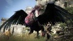 Dragon's Dogma