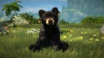Kinectimals: Now with Bears! (X360)