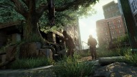 The Last of Us