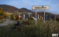 DayZ