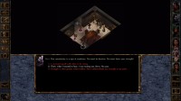 Baldur's Gate: Enhanced Edition