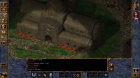 Baldur's Gate: Enhanced Edition
