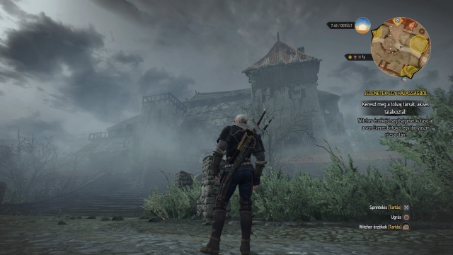 The Witcher 3: Wild Hunt