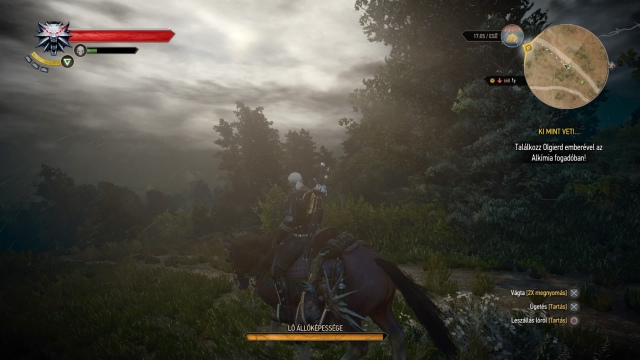 The Witcher 3: Wild Hunt