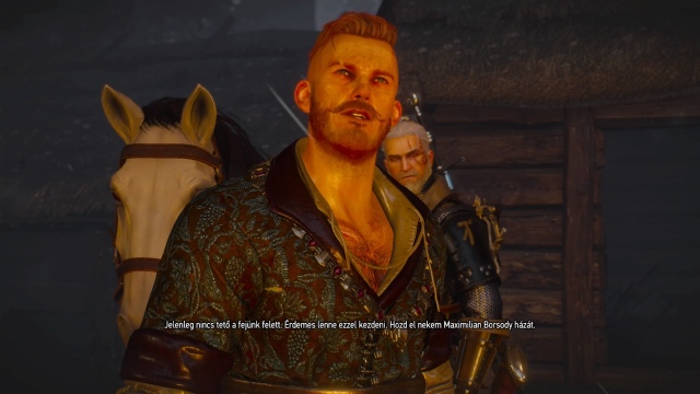 The Witcher 3: Wild Hunt