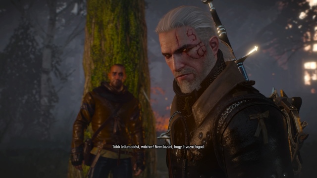 The Witcher 3: Wild Hunt