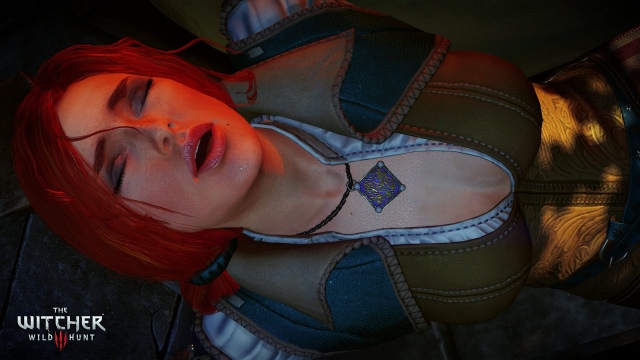 The Witcher 3: Wild Hunt