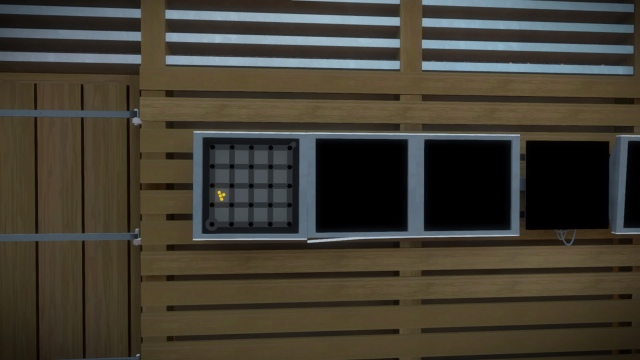 The Witness