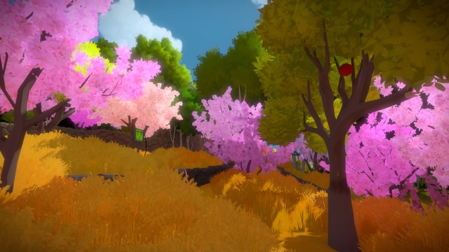 The Witness