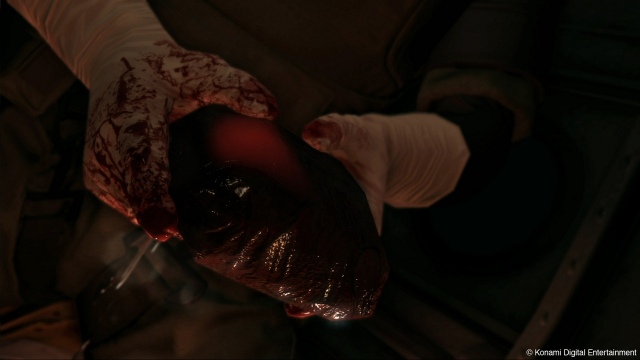 Metal Gear Solid V: The Phantom Pain