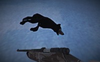 The Long Dark