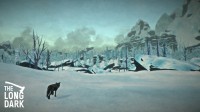 The Long Dark