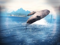 Assassin's Creed Pirates